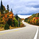Fall Safety Driving Tips