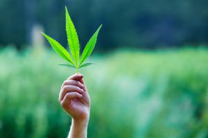 Virginia marijuana injury lawyer