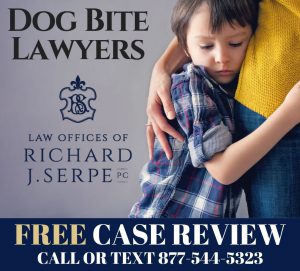 dog bite lawyer, dog attack lawyer